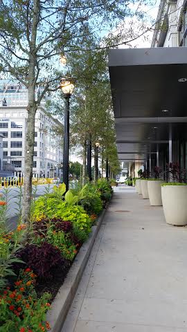 A manicured, but empty, new street in Buckhead Atlanta is waiting on Buckhead to find out and how up.
