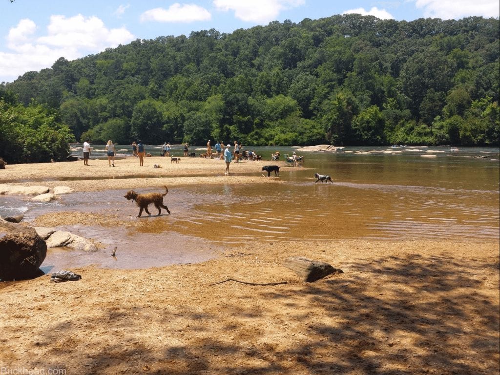 5-buckhead-dog-friendly-parks