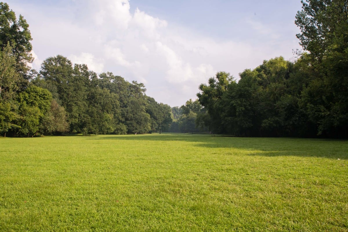 Collier Hills Buckhead