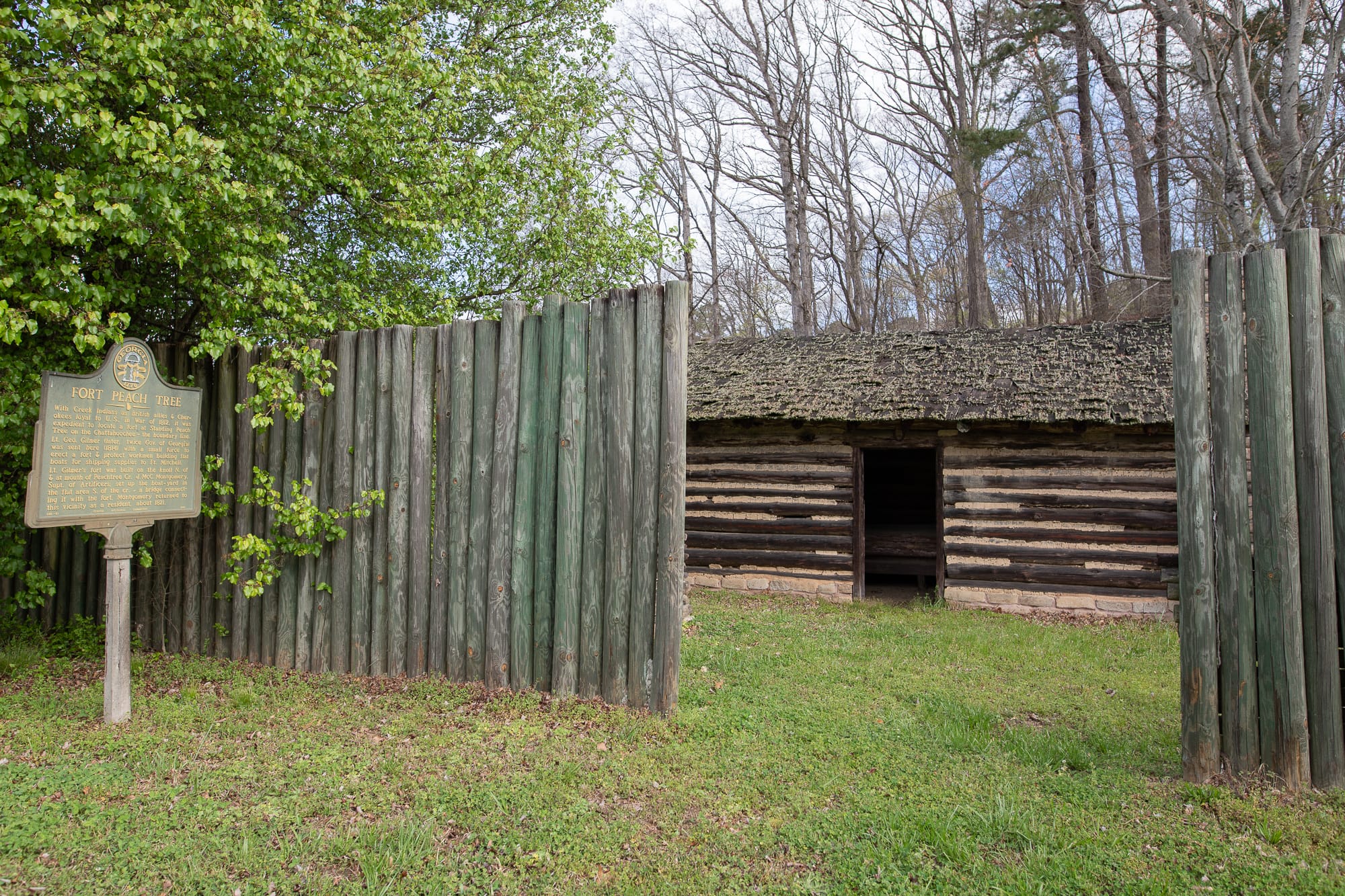 Who Cares About Standing Peachtree Park? - Buckhead