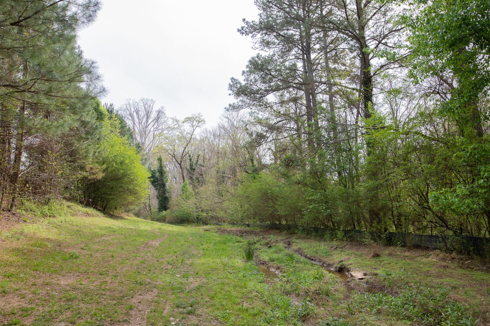 Who Cares About Standing Peachtree Park? Buckhead