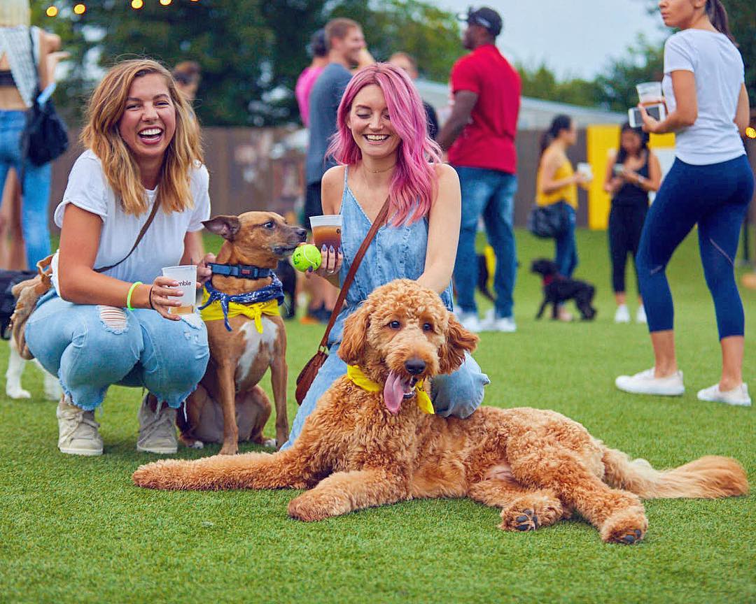 Making Fetch Happen OffLeash Dog Park Bar Coming to Buckhead Village Buckhead