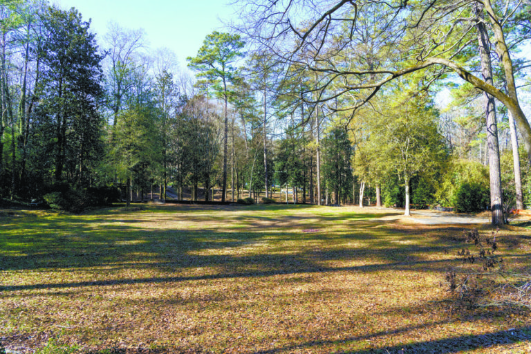 Spectacular Lot On Tuxedo Road at Chastain Park
